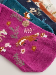 Autumn Animals Invisible Trainers Socks 5 Pack - Image 8 of 8