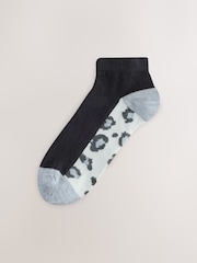Animal gris - Calcetines deportivos con plantilla 5 Pack - Imagen 4 de 8