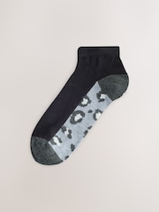 Animal gris - Calcetines deportivos con plantilla 5 Pack - Imagen 6 de 8