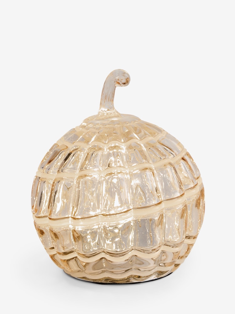 Mink Brown Pumpkin Battery Operated Feature Light - Image 4 of 4 Mink Brown Pumpkin Battery Operated Feature Light - Image 4 of 4