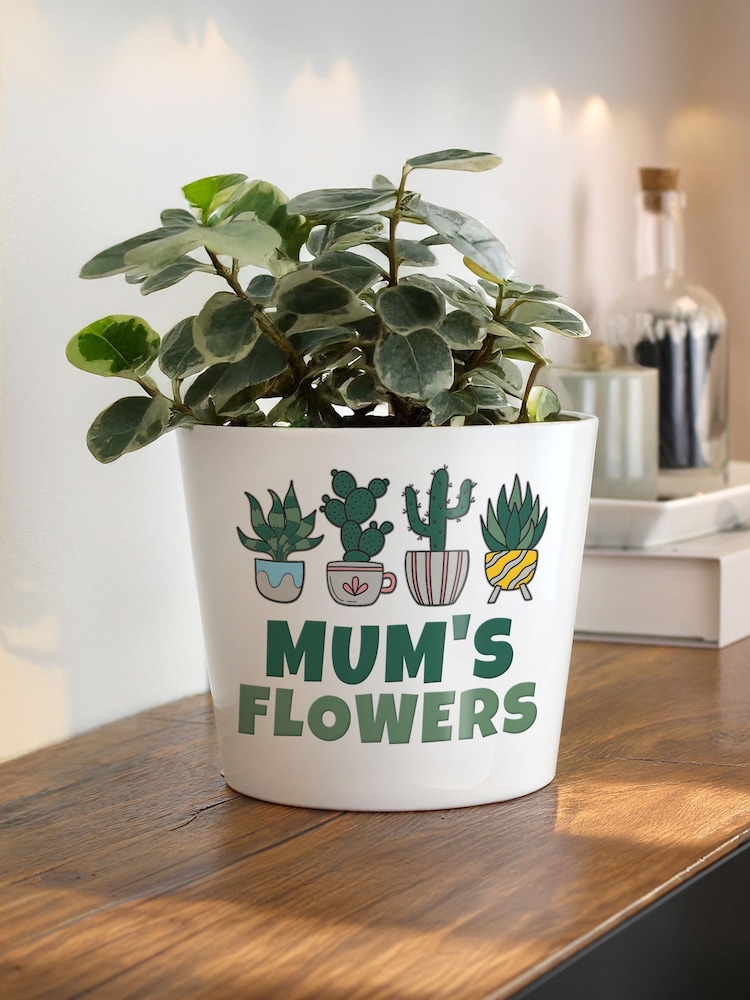 Personalised Personalised Plant Pot by PMC - Image 3 of 3
