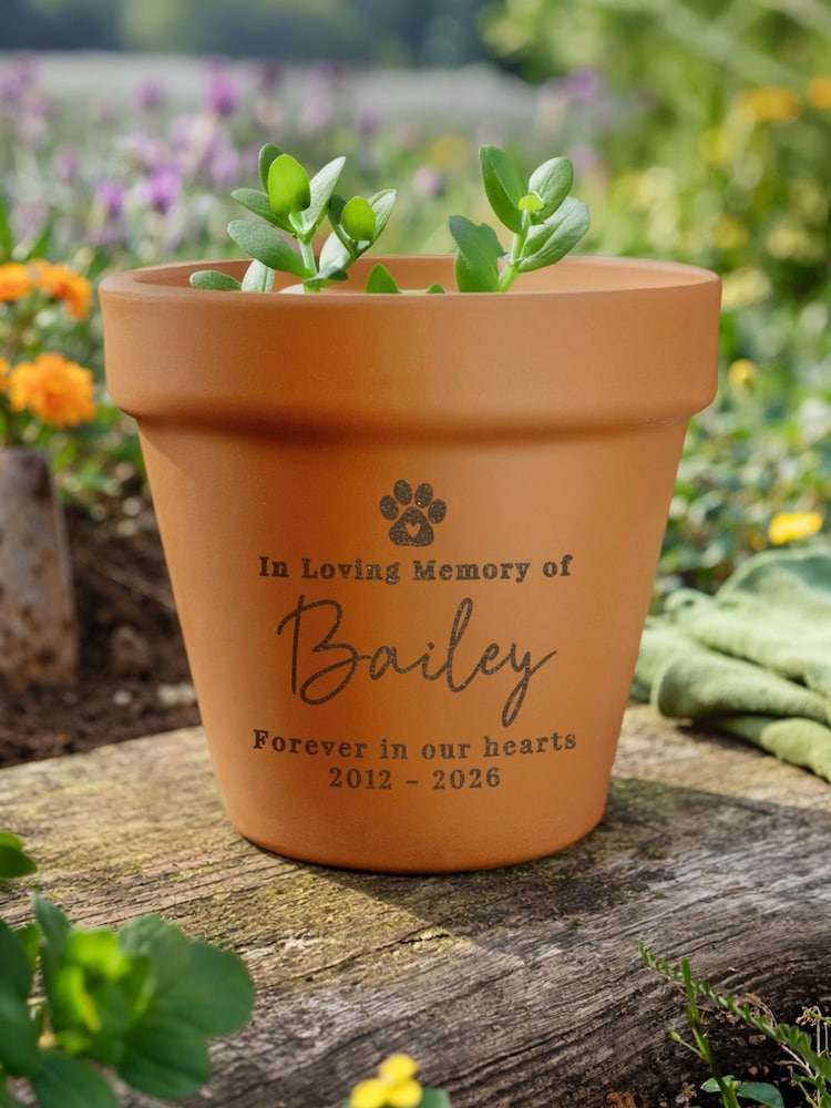 Personalised Personalised Pet Memorial Terracotta Plant Pot by PMC - Image 1 of 4