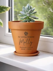 Personalised Personalised Pet Memorial Terracotta Plant Pot by PMC - Image 2 of 4