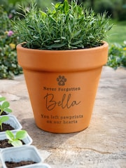 Personalised Personalised Pet Memorial Terracotta Plant Pot by PMC - Image 4 of 4