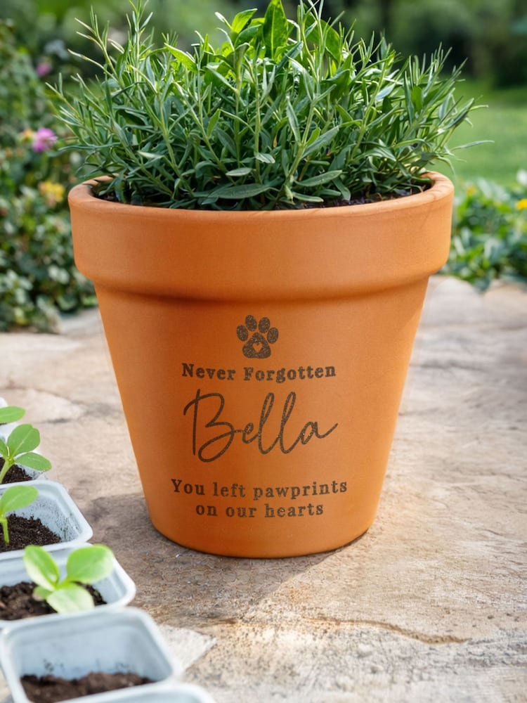 Personalised Personalised Pet Memorial Terracotta Plant Pot by PMC - Image 4 of 4