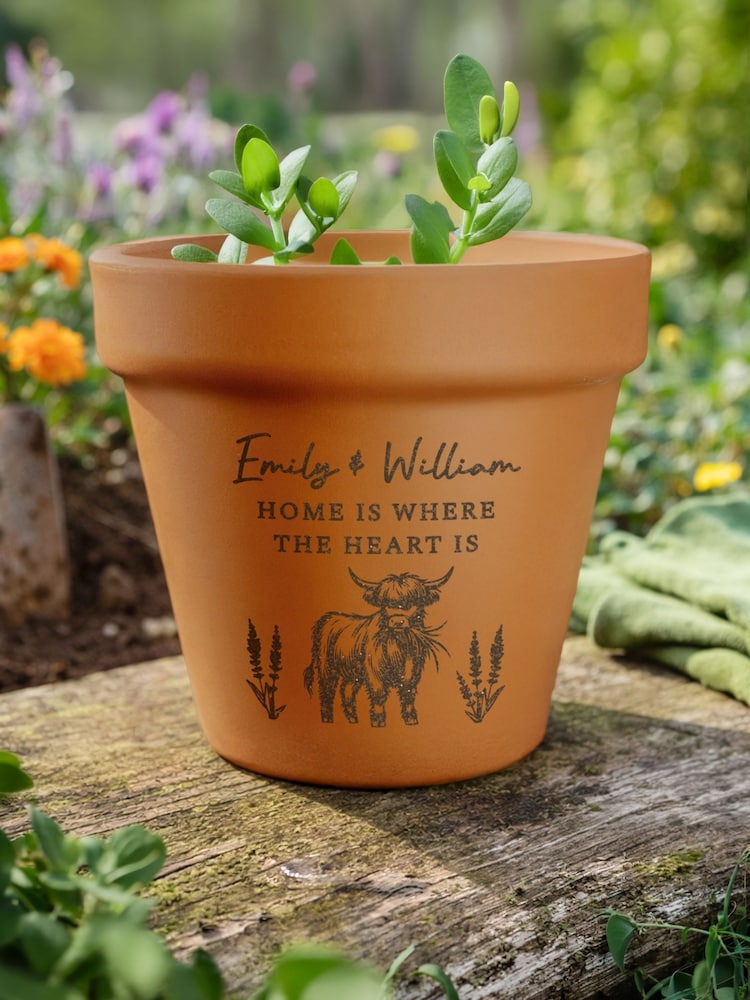 Personalised Personalised Highland Cow Terracotta Plant Pot by PMC - Image 1 of 4
