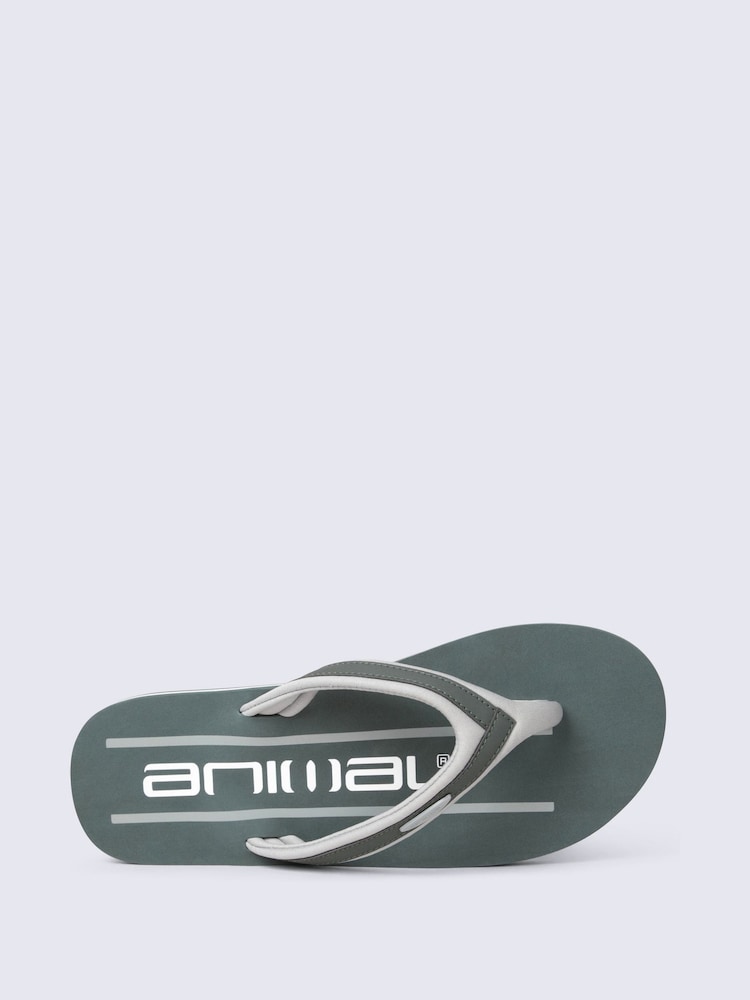 Animal Green Jekyl Flip Flops - Image 2 of 5