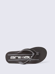 Animal Grey Jekyl Flip Flops - Image 2 of 5