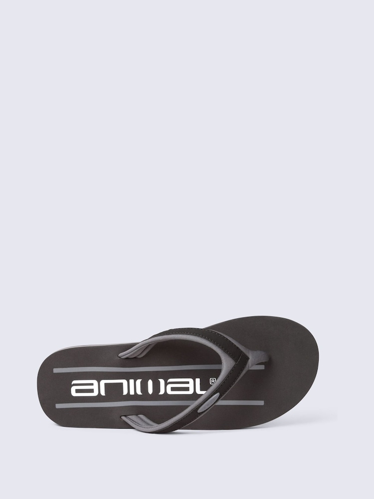 Animal Grey Jekyl Flip Flops - Image 2 of 5