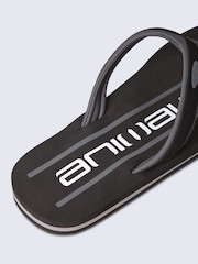 Animal Grey Jekyl Flip Flops - Image 4 of 5