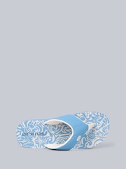 Animal Chanclas Swish - Imagen 2 de 5