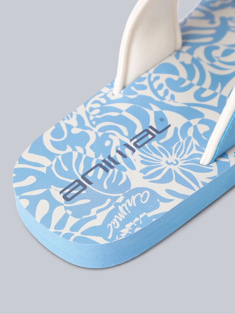 Animal Chanclas Swish - Imagen 5 de 5