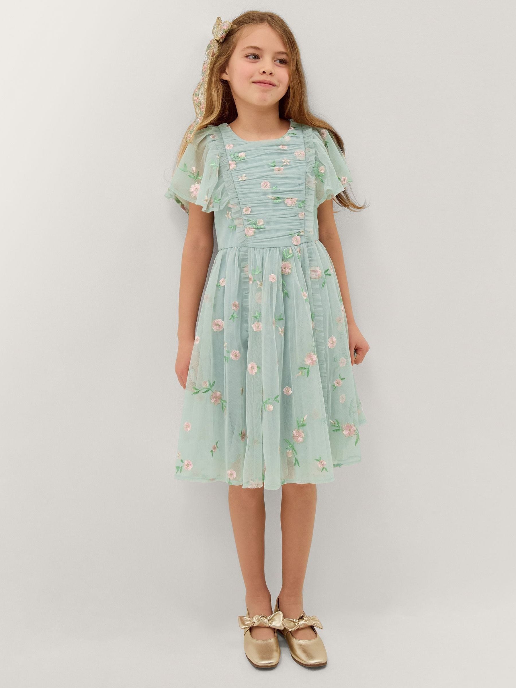 Buy Monsoon Primrose Embroidered Party Dress from Next Japan