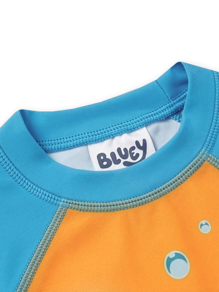 Buy Character Blue Bluey Long Sleeve Rash Guard And Swim Shorts from ...