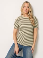 Long Tall Sally Brown Stripe Scoop Neck T-Shirt - Image 1 of 5