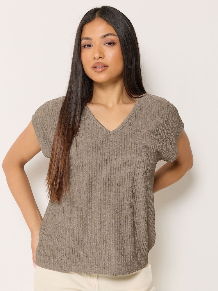 M&Co Brown Petite Textured V-Neck T-Shirt - Image 1 of 5 M&Co Brown Petite Textured V-Neck T-Shirt - Image 1 of 5