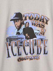 Gap Grey Ice Cube Relaxed Graphic Short Sleeve T-Shirt (4-13yrs) - Image 3 of 3
