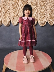 Burgundy Floral Embroidered Collar Puff Sleeve Occasion Dress (3mths-8yrs) - Image 1 of 15