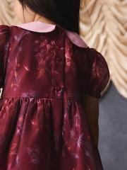Burgundy Floral Embroidered Collar Puff Sleeve Occasion Dress (3mths-8yrs) - Image 11 of 15