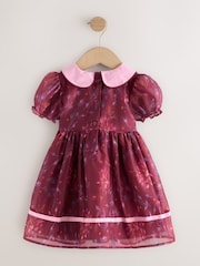 Burgundy Floral Embroidered Collar Puff Sleeve Occasion Dress (3mths-8yrs) - Image 13 of 15