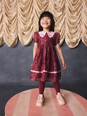 Burgundy Floral Embroidered Collar Puff Sleeve Occasion Dress (3mths-8yrs) - Image 3 of 15