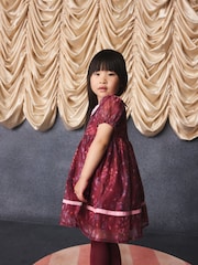 Burgundy Floral Embroidered Collar Puff Sleeve Occasion Dress (3mths-8yrs) - Image 4 of 15