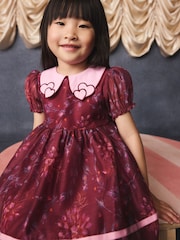 Burgundy Floral Embroidered Collar Puff Sleeve Occasion Dress (3mths-8yrs) - Image 7 of 15