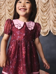 Burgundy Floral Embroidered Collar Puff Sleeve Occasion Dress (3mths-8yrs) - Image 9 of 15