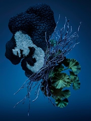 Carolina Herrera Bad Boy Cobalt Deodorant Stick 75g - Image 2 of 2