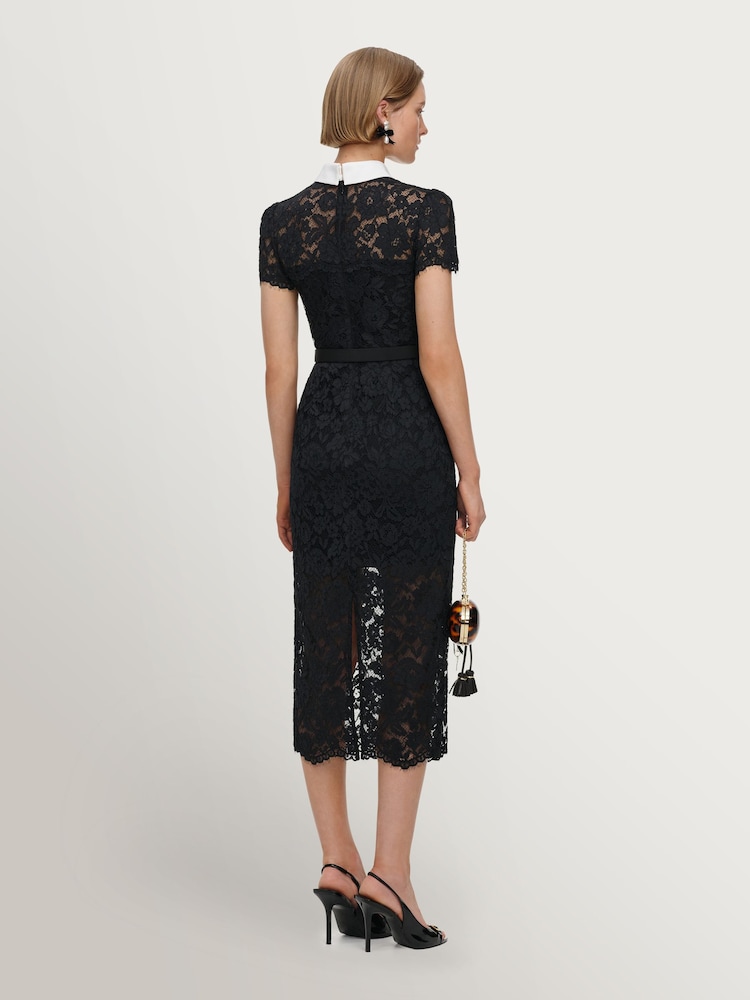 Self-Portrait Black Lace Contrast Collar Midi Dress - Image 2 of 5 Self-Portrait Black Lace Contrast Collar Midi Dress - Image 2 of 5