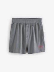 HUGO Grey Box Logo Relaxed Fit Shorts - Image 4 of 4