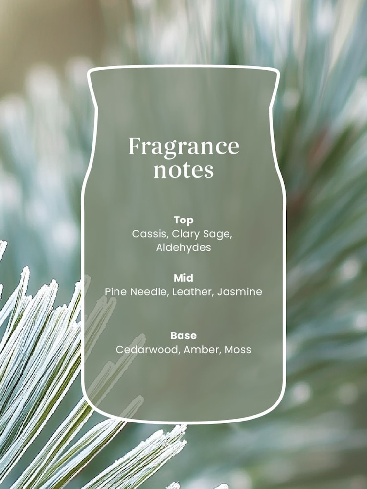 Yankee Candle Silver Sage Pine Signature Medium Jar Boxed Candle - Image 2 of 3 Yankee Candle Silver Sage Pine Signature Medium Jar Boxed Candle - Image 2 of 3