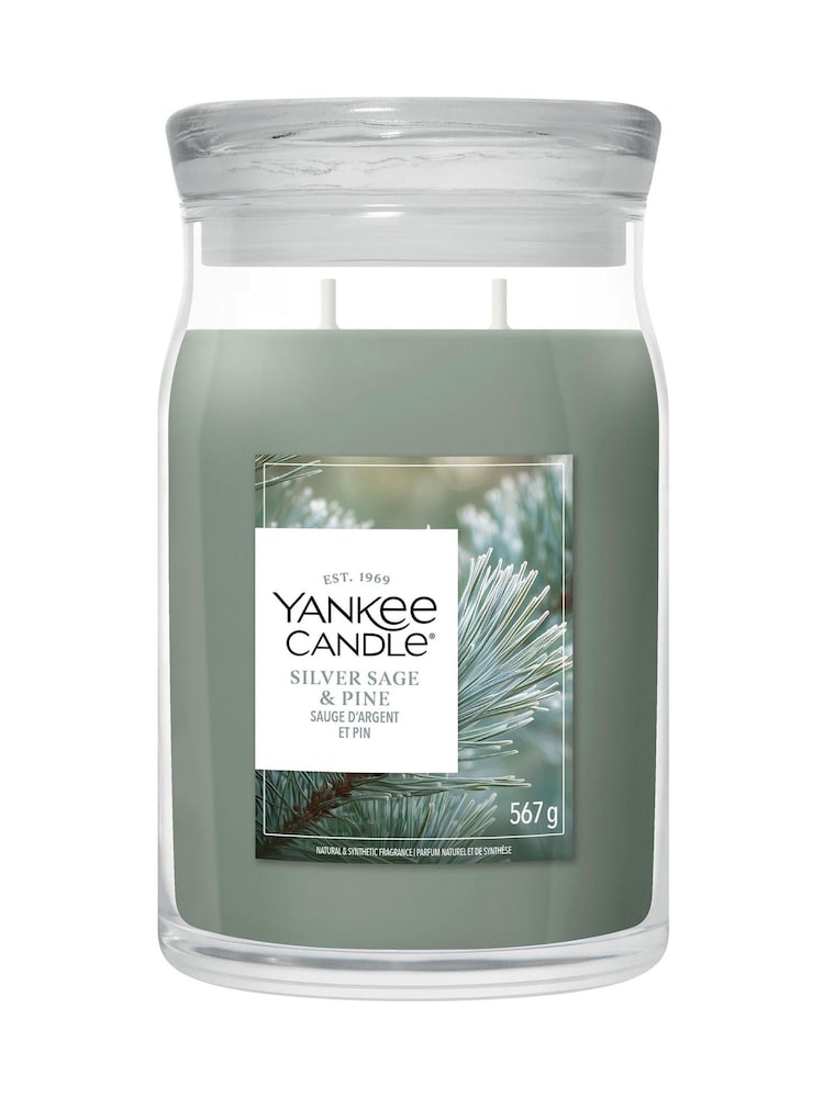 Yankee Candle Silver Sage Pine Signature Medium Jar Boxed Candle - Image 3 of 3 Yankee Candle Silver Sage Pine Signature Medium Jar Boxed Candle - Image 3 of 3