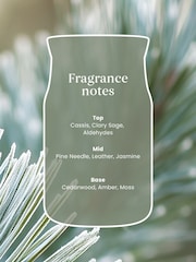Yankee Candle Silver Sage Pine Signature Medium Jar Boxed Candle - Image 2 of 3