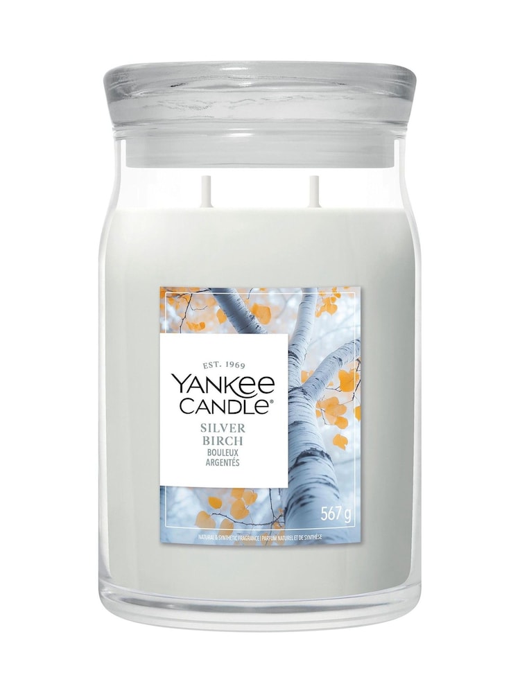 Yankee Candle Silver Birch Signature Medium Jar Boxed Candle - Image 1 of 1 Yankee Candle Silver Birch Signature Medium Jar Boxed Candle - Image 1 of 1