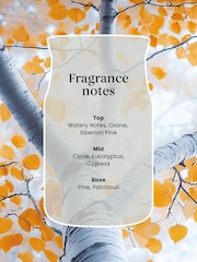 Yankee Candle Silver Birch Signature Medium Jar Boxed Candle - Image 2 of 2