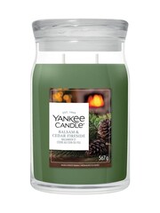 Yankee Candle Balsam  Cedar Signature Medium Jar Boxed Candle - Image 1 of 1