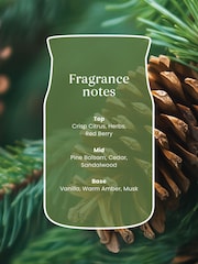 Yankee Candle Balsam  Cedar Signature Medium Jar Boxed Candle - Image 2 of 3