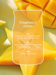 Yankee Candle Starfruit Sunshine Signature Medium Jar 2 Wick Candle - Image 2 of 2