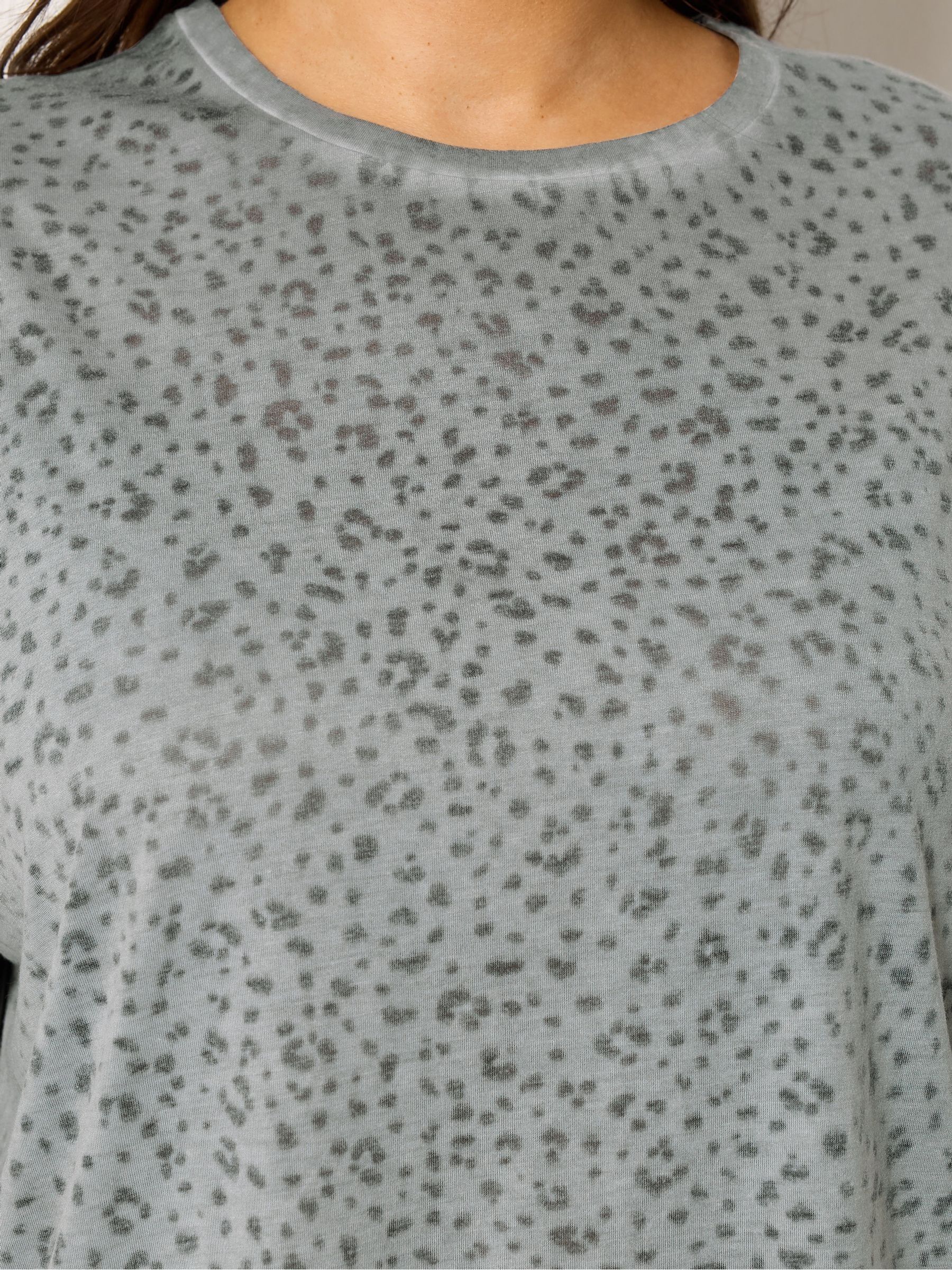 Buy Yours Curve Grey Burnout Animal Oversized T-Shirt from Next USA