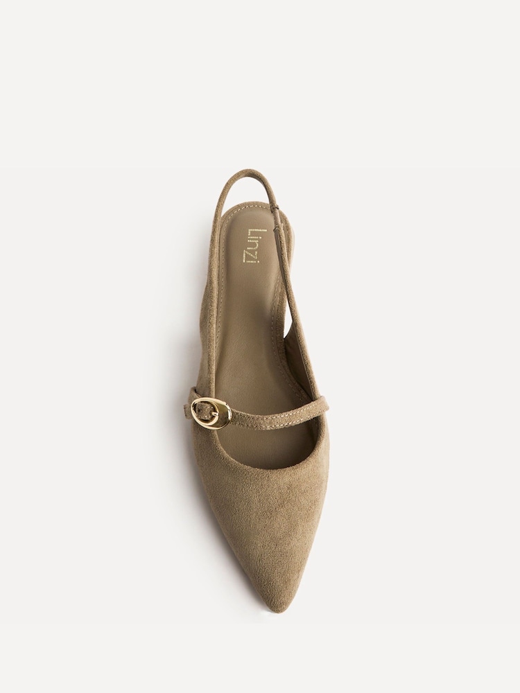 Linzi Natural Align Pointed Toe Ballet Flats With Buckle Detail - Image 5 of 5 Linzi Natural Align Pointed Toe Ballet Flats With Buckle Detail - Image 5 of 5