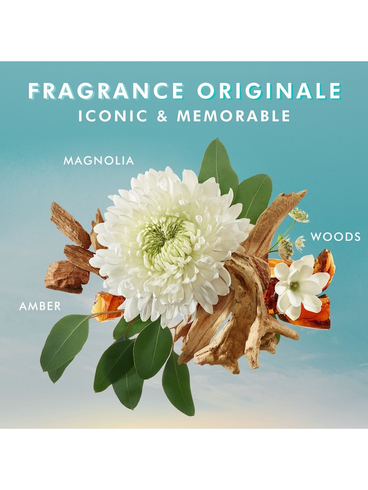 Moroccanoil Discovery Kit - Moisture Repair (Worth £44.50) - Image 7 of 7 Moroccanoil Discovery Kit - Moisture Repair (Worth £44.50) - Image 7 of 7