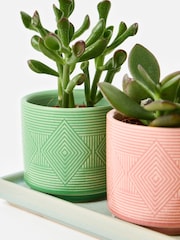 Oliver Bonas Set of 3 Multi Punta Ceramic Plant Pots - Image 6 of 6