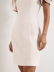 Phase Eight Cream Joy Ruffle Dress - Image 7 of 7