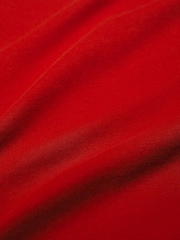 Seasalt Cornwall Red Merthen T-Shirt - Image 5 of 5