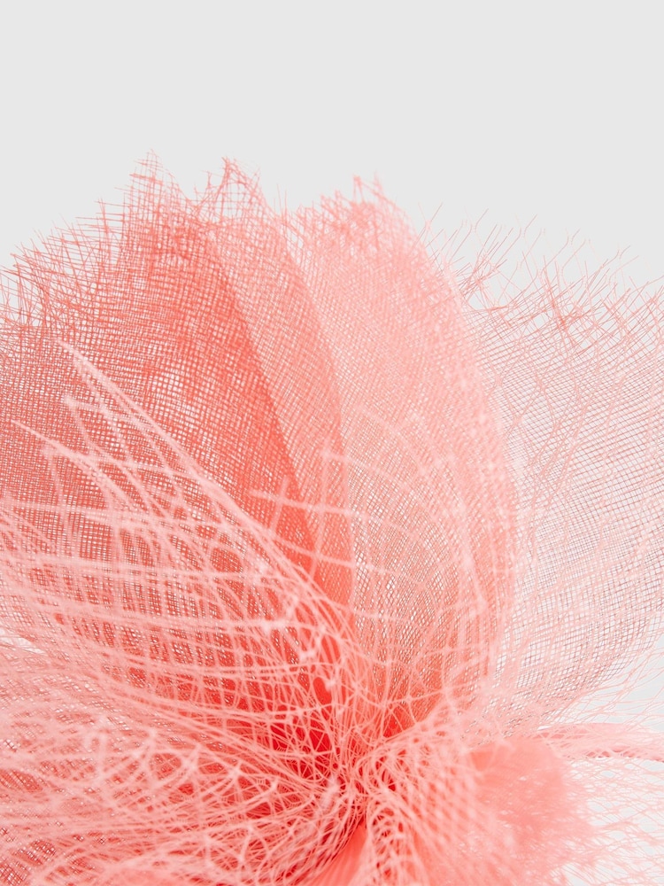 River Island Pink Edwina Netted Fascinator Headband - Image 4 of 4 River Island Pink Edwina Netted Fascinator Headband - Image 4 of 4