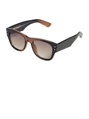 Estella Bartlett Black Transparent Brown Wayfarer Unisex Sunglasses - Image 3 of 3