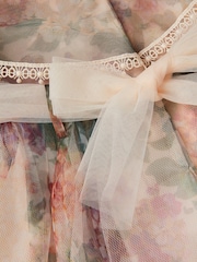 فستان حفلات تول بطبعة ورود كلاسيكية للبيبي من Monsoon - صورة 3 من 3