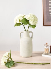 Pacific White Hydrangea Pack of 3 - Image 1 of 6