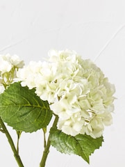 Pacific White Hydrangea Pack of 3 - Image 2 of 6